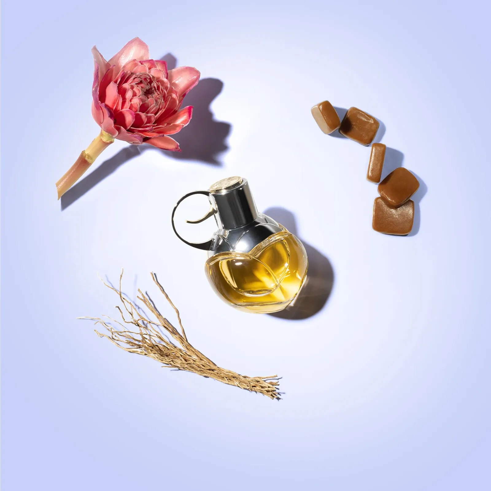 Azzaro Wanted Girl Eau De Parfum 50ml 1.69fl.oz 2 Azzaro Wanted Girl Eau De Parfum 50ml 1.69fl.oz - Image 2