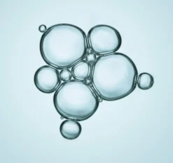 Bioderma Atoderm Intensive Eye Care For Eyelid Eczema 100ml 3.4fl.oz 5 Bioderma Atoderm Intensive Eye Care For Eyelid Eczema 100ml 3.4fl.oz -Sesderma Cosmetics LySkin Bioderma atoderm intensive eye care for eyelid eczema 100ml 3.4fl.oz BDM00111 3