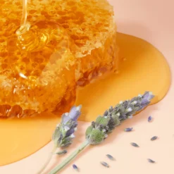 Nuxe Rêve De Miel Honey Lip Gloss 10ml 0.34fl.oz -Sesderma Cosmetics LySkin Nuxe reve de miel honey lip gloss 10m 0.34fl.oz NUX00204 6